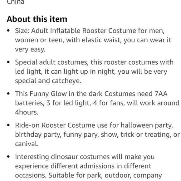 Rooster 🐔 with LED lights - Picture 5 of 5